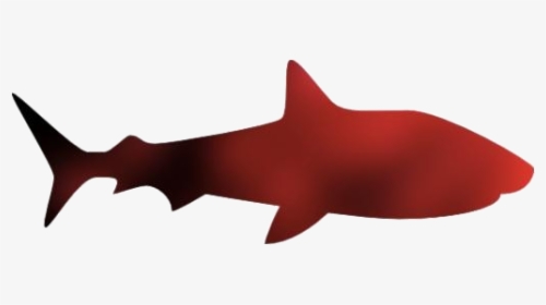 Shark Icon Png Transparent Images - Shark, Png Download, Free Download