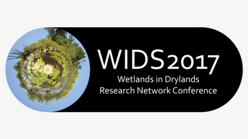 Transparent Wetland Plants Png - Tree, Png Download, Free Download