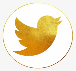 #twittericon #twitter #icon #gold - Vector Transparent Twitter Icon, HD Png Download, Free Download