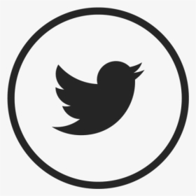 Round Twitter Icon Png, Transparent Png, Free Download