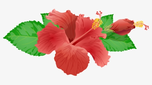 Red Flower Png Clip Art Image - Hibiscus Flower Transparent Background, Png Download, Free Download