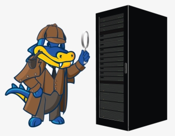 Hostgator Web Hosting, HD Png Download, Free Download