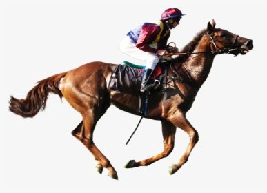 Horse Racing Transparent Background, HD Png Download, Free Download