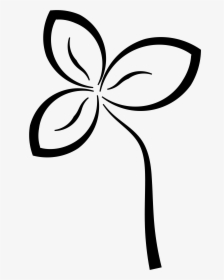 Abstract Flower Black White Line Art Coloring Book - Clip Art, HD Png Download, Free Download