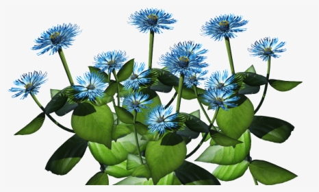 Blue Plant Png - Tropical Shrub With Blue Flowers, Transparent Png, Free Download