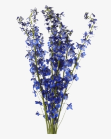 Dark Blue Flower Png, Transparent Png, Free Download