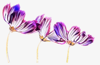 Purple Flowering Plant Plants - Single Purple Flower Transparent, HD Png Download, Free Download