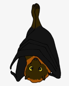 Transparent Fruit Bat Clipart - Cartoon Picture Of A Fruit Bat, HD Png Download, Free Download