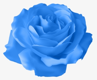 Blue Rose Png - Purple Rose Flower Transparent, Png Download, Free Download