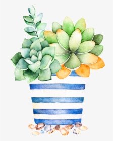 Blue Striped Flower Pot Cartoon Transparent - Watercolor Cactus And Succulent, HD Png Download, Free Download