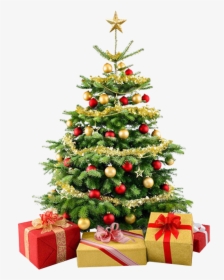 Christmas Tree And Presents No Background - Christmas Tree No Background, HD Png Download, Free Download