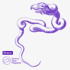 Draco Png, Transparent Png, Free Download