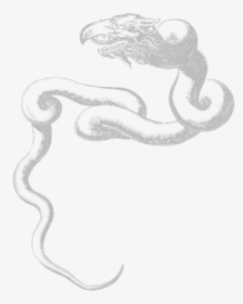 Draco Png, Transparent Png, Free Download
