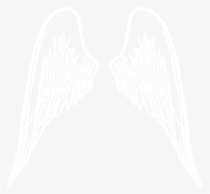 White Wings Png, Transparent Png, Free Download