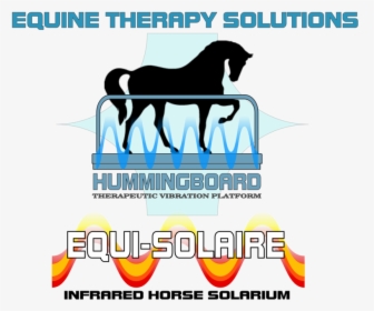 Equi-solaire, HD Png Download, Free Download