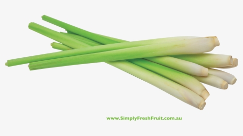 Long Grass Png, Transparent Png, Free Download