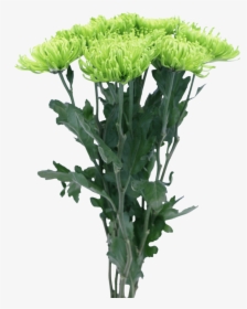 Long Grass Png, Transparent Png, Free Download