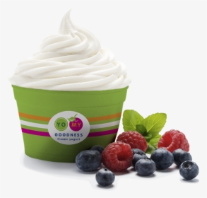 There Are A Lot Of Frozen Yogurt Places Out Therebut - Frozen Yogurt Hd, HD Png Download, Free Download
