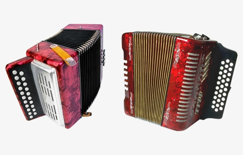 Accordion, Fur, Music, Orchestra, Philharmonic Hall - Accordeon Transparant, HD Png Download, Free Download
