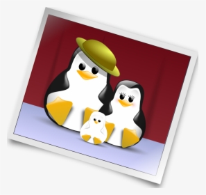 Cute Penguin Family Portrait Round Ornament - Clipart Photograph, HD Png Download, Free Download