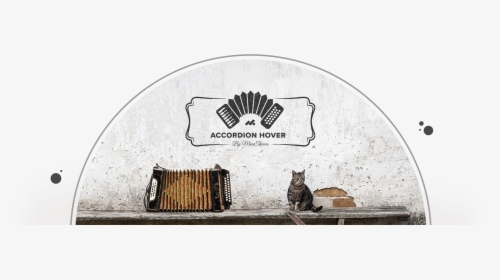 Accordion Hover - Domestic Short-haired Cat, HD Png Download, Free Download
