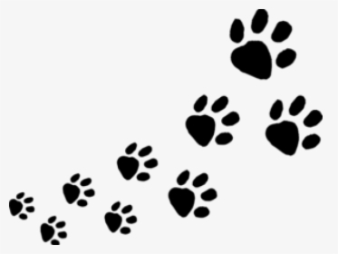 Transparent Dog Paws Clipart - Animal Footprints Clipart, HD Png Download, Free Download