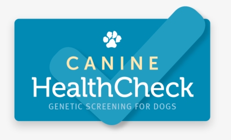 Dog Paws Png, Transparent Png, Free Download