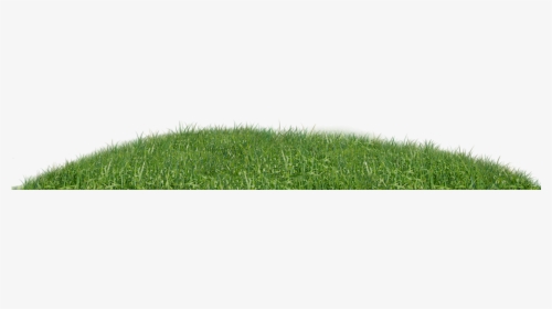 Sweet Grass, HD Png Download, Free Download