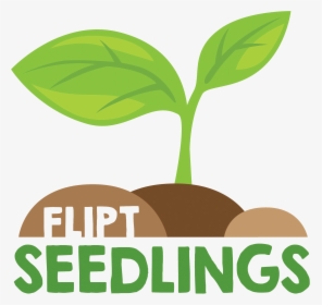 Null Seedlings Logo- - Seedlings Logo, HD Png Download, Free Download