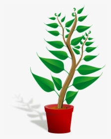 Seedling, Potted Plant, Sapling, Plant, Growing, Growth - Getting To Know Plants, HD Png Download, Free Download