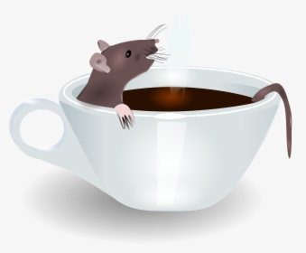 Rat In Coffee, HD Png Download, Free Download
