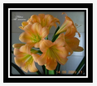 Artificial Flower, HD Png Download, Free Download