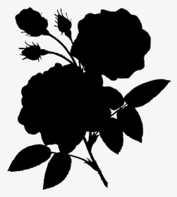 Download Png Vintage Rose Flower Png - Vintage Flower Illustration Png, Transparent Png, Free Download