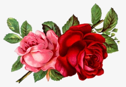 Vintage Roses En Png - Roses Vintage, Transparent Png, Free Download