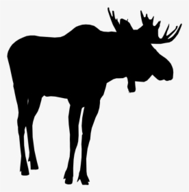 #moose #silhouette #moosesilhouette - Silhouette, HD Png Download, Free Download