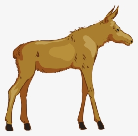 Free Moose Clipart - Clip Art, HD Png Download, Free Download