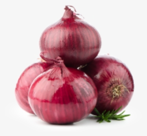 Rapid In-field Determination Of Nitrogen In Onions - Onion Png, Transparent Png, Free Download