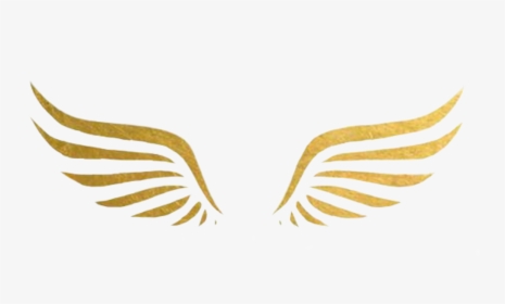 #wings #gold #tumblr #goldwings #cute #remixit #aesthetic, HD Png Download, Free Download
