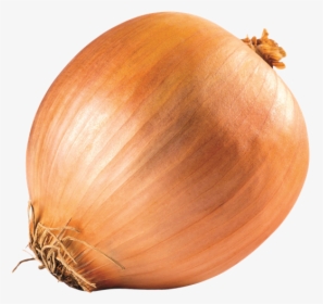 Yellow Onion, HD Png Download, Free Download