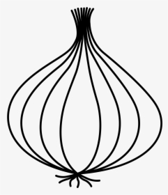 Collection Of Free Onion Drawing Download On Ui Ex - Onion Clipart Black And White, HD Png Download, Free Download