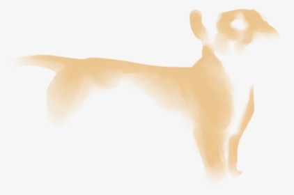 Cat Dog Desktop Wallpaper Paw Ear - Cat Jumps, HD Png Download, Free Download