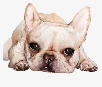 French Bulldog Toy Bulldog Puppy Dog Breed - French Bulldog Good Morning, HD Png Download, Free Download