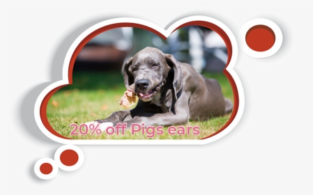 Pigs Ears Cloud - Pig Ears Dog Treats, HD Png Download, Free Download