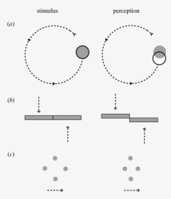 Diagram, HD Png Download, Free Download