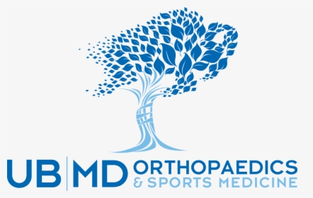 Ubmd Orthopaedics & Sports Medicine, HD Png Download, Free Download
