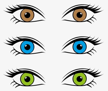 Collection Of Lizard Eyeballs Cliparts - Different Eye Colors Cartoon, HD Png Download, Free Download