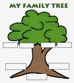 Family Tree Png Img Png - Family Tree Mother Side And Father Side, Transparent Png, Free Download