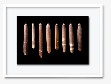 51 - Dav#pearce-shells1, HD Png Download, Free Download