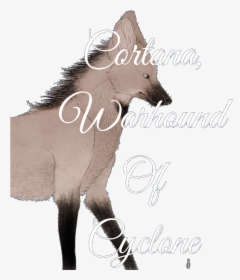 Transparent Cortana Png - Foal, Png Download, Free Download