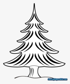 Christmas Tree With Presents Coloring Pages For Kids - Pine Clipart Black And White, HD Png Download, Free Download